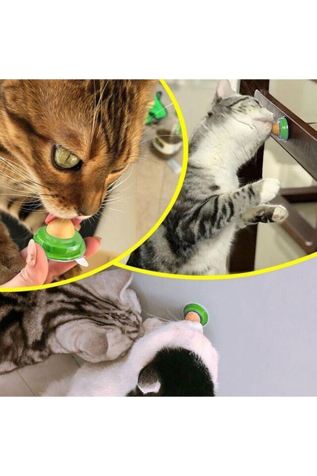Kedi Şekeri / Vitaminli Catnip Şekeri Ödül Oyuncağı Yalama Topu