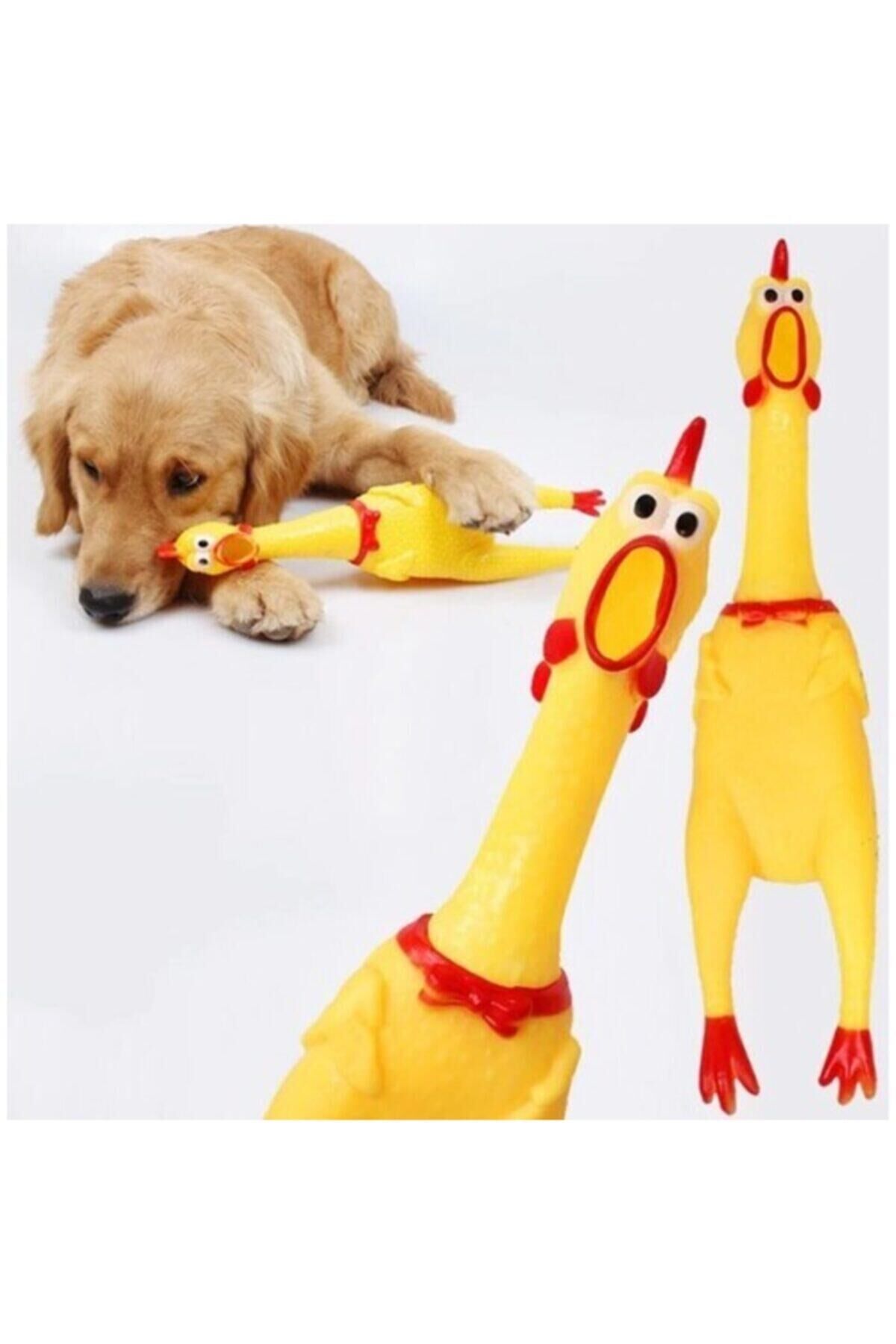 Öten Tavuk Köpek Oyuncağı 30 Cm Sarı - Tek Ebat