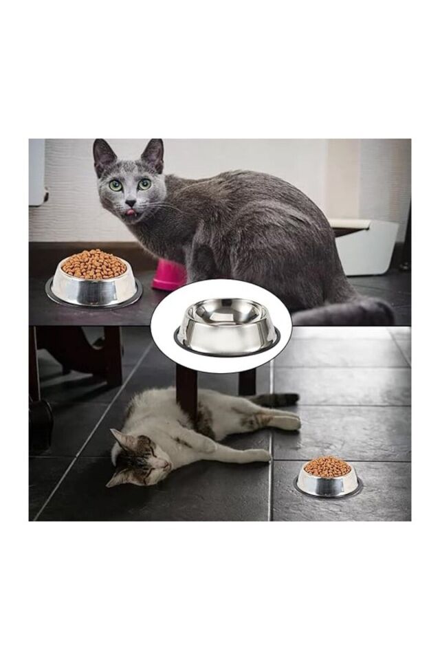 2 Adet Paslanmaz Çelik Mama Ve Su Kabı, Alt Taban 16 Cm Kedi Mama Kabı Köpek Mama Kabı (250 ML-8 OZ)