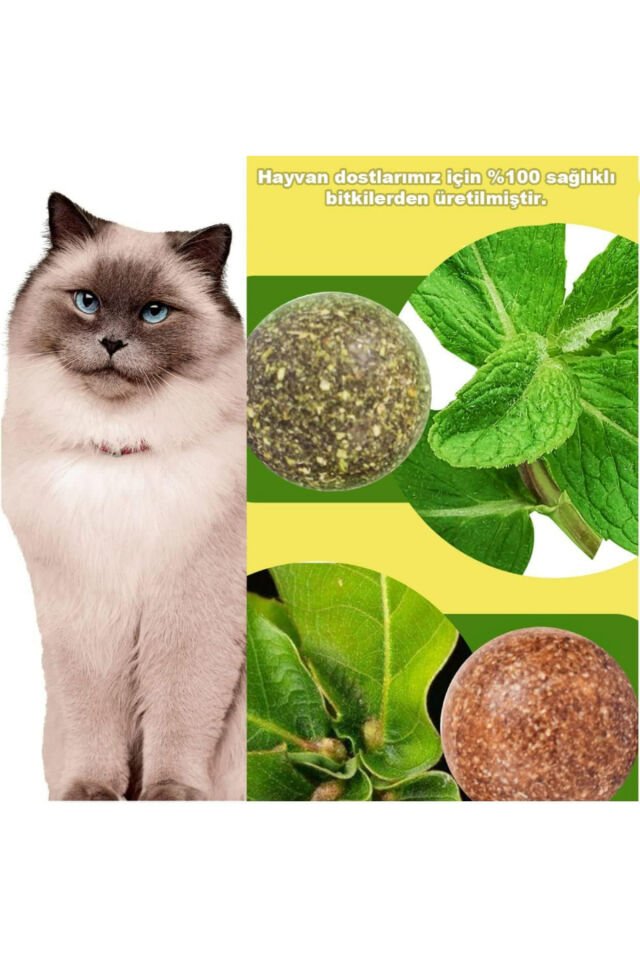 Avokado Catnip Avokado Kedi Otu Topu Avokado Kedi Nanesi Oyuncağı yeşil sarı - Tek Ebat