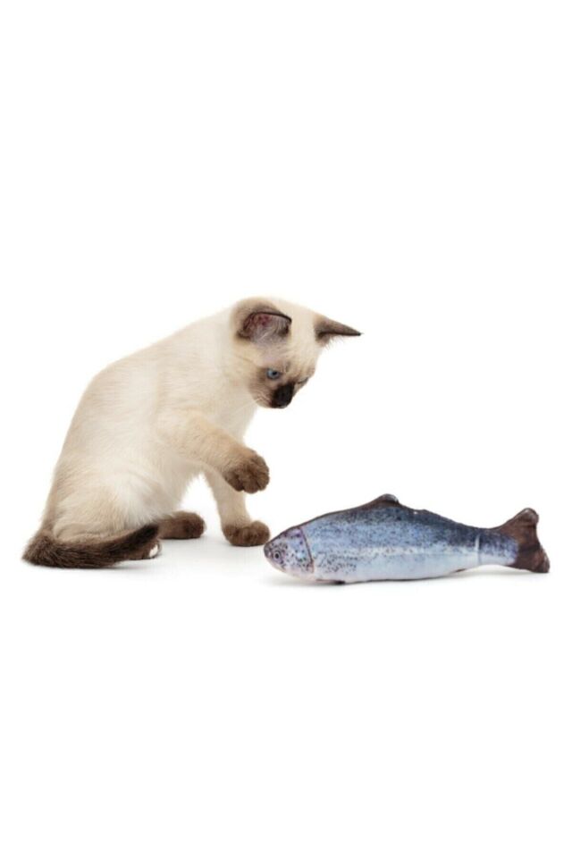 Büyük Boy Hareketli Bez Balık Kedi Oyuncağı Sarjlı Kedi Otu Dolgulu KARISIK - Tek Ebat
