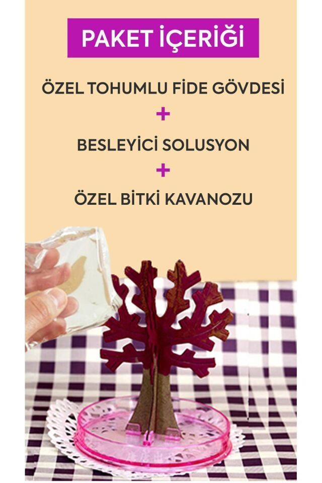 Sihirli Japon Sakura Ağacı Fidesi 24 Saatte Büyümeye Başlayan Dekoratif Canlı Bitki Seti