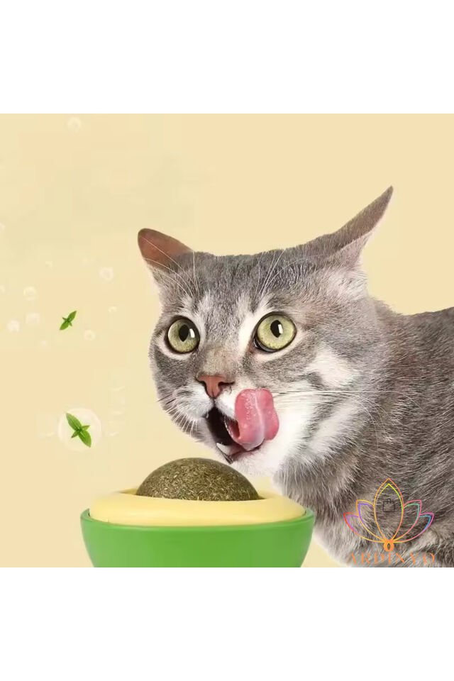 Catnip Avokado Kedi Çimi Kedi Oyuncağı Yalama Topu Doğal Kedi Nanesi 360 Derece Dönen Sağlıklı Top