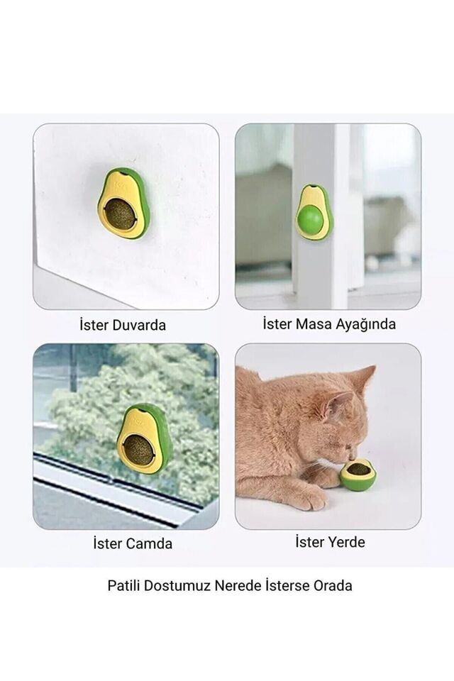 Catnip Avokado Kedi Çimi Kedi Oyuncağı Yalama Topu Doğal Kedi Nanesi 360 Derece Dönen Sağlıklı Top