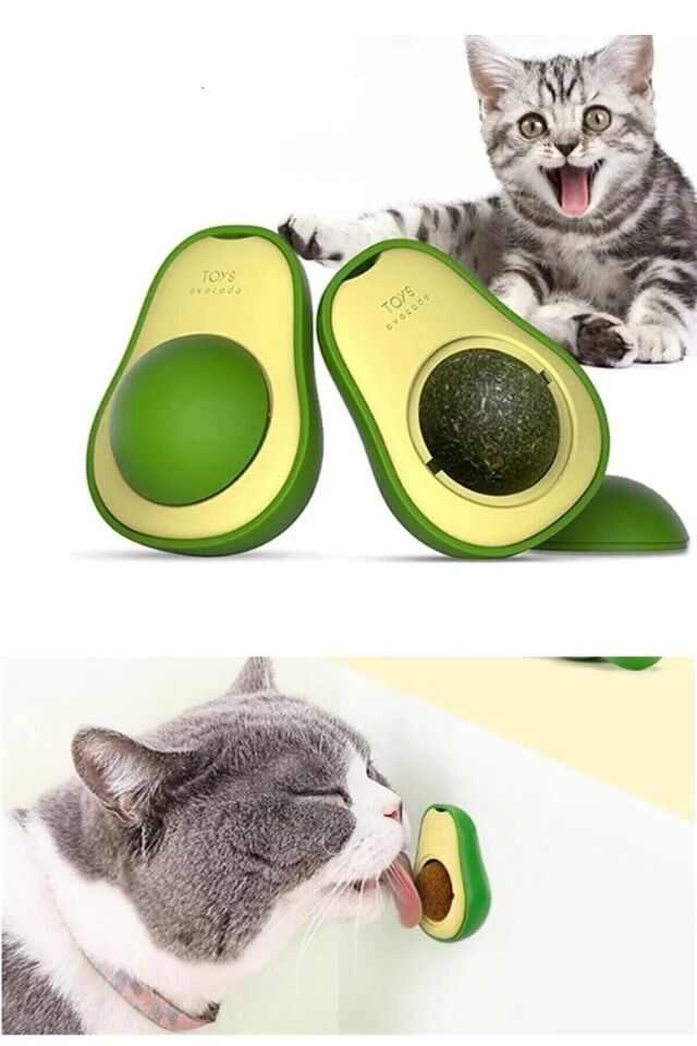 Doğal Catnipli Yenilebilir Kedi Nanesi Otu Oyun Topu Oyuncağı Top Oyuncak Kedi Avokado - yeşil - Tek Ebat
