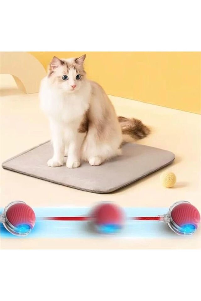 Şarjlı Kendinden Hareketli Kedi Köpek Oyun Topu – 360° Dönen İnteraktif Akıllı Oyuncak