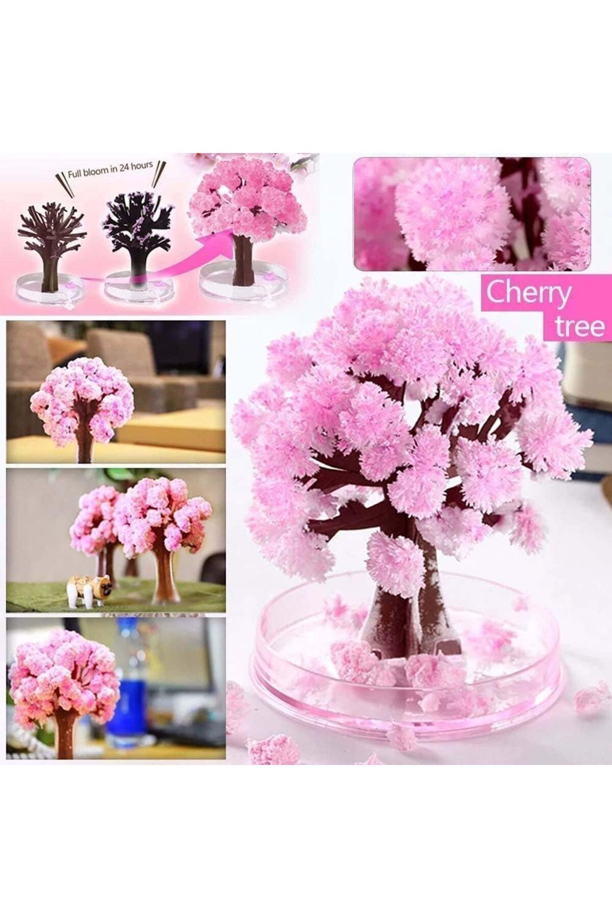 Magic Sakura - Eğitici ve Eğlenceli Kristal Ağaç Büyütme Seti, Çocuklar ve Yetişkinler İçin
