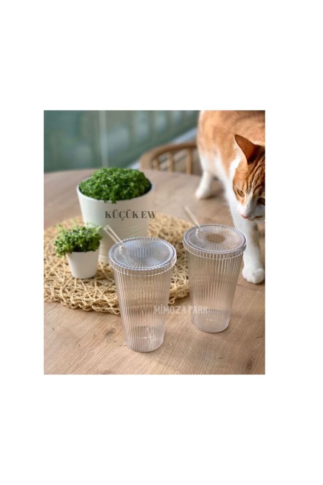 MİKA 2 Adet 600 Ml Mika Kapaklı Pipetli Origami Stil Mika Bardak | Sunum Bardağı Meşrubat Bardağı