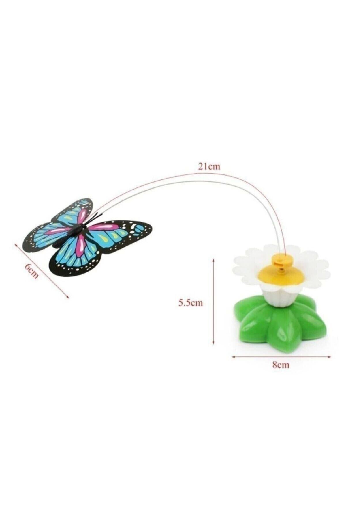 Hareketli Dönen Kelebek - Kedi Oyuncağı ( Pille Çalışır) Glrshop KArışık Renkler - Tek Ebat