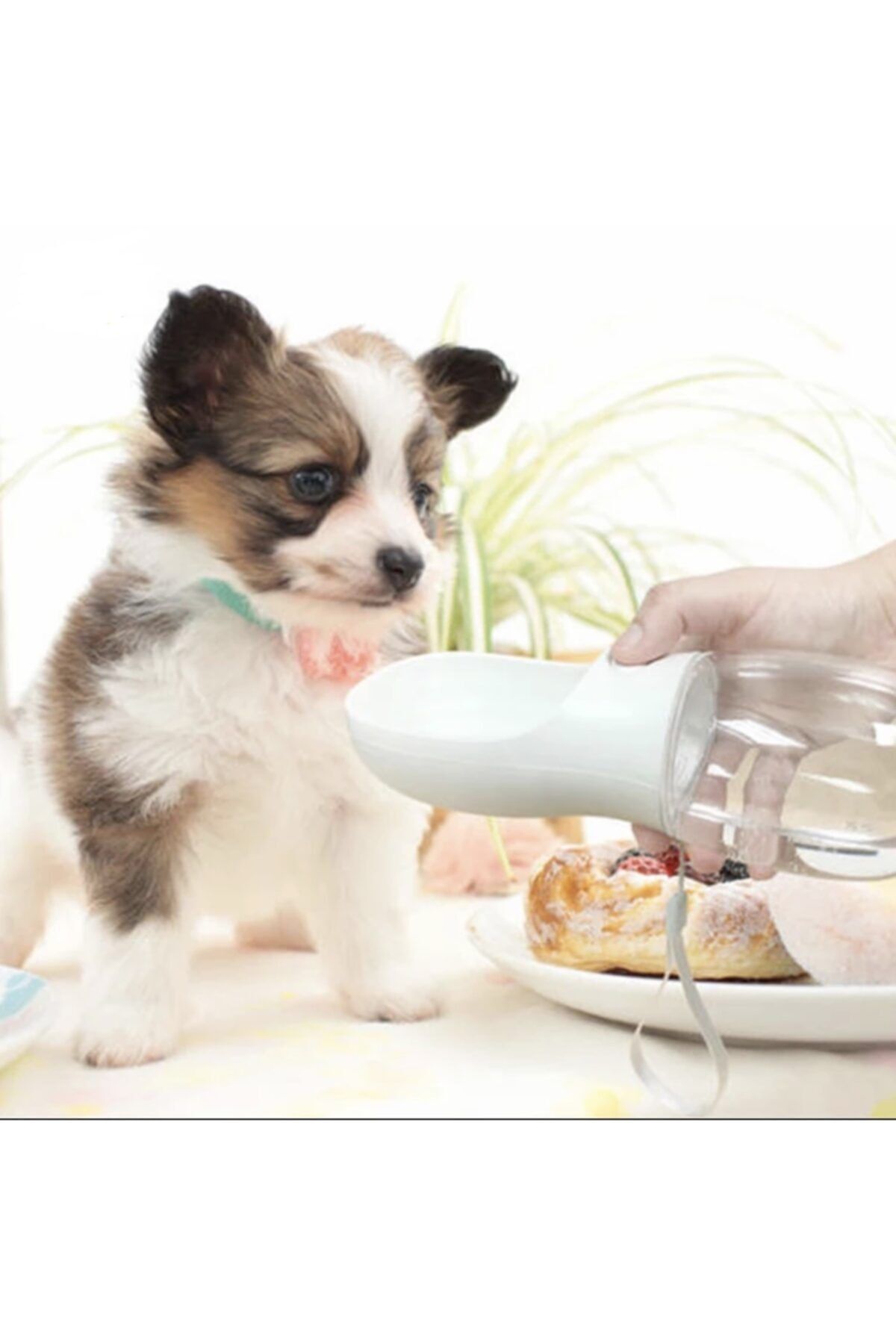 Taşınabilir Kedi Köpek Suluğu Seyahat Su Şişesi Kaseli Emniyetli Sızdırmaz Kutulu 350ml Beyaz