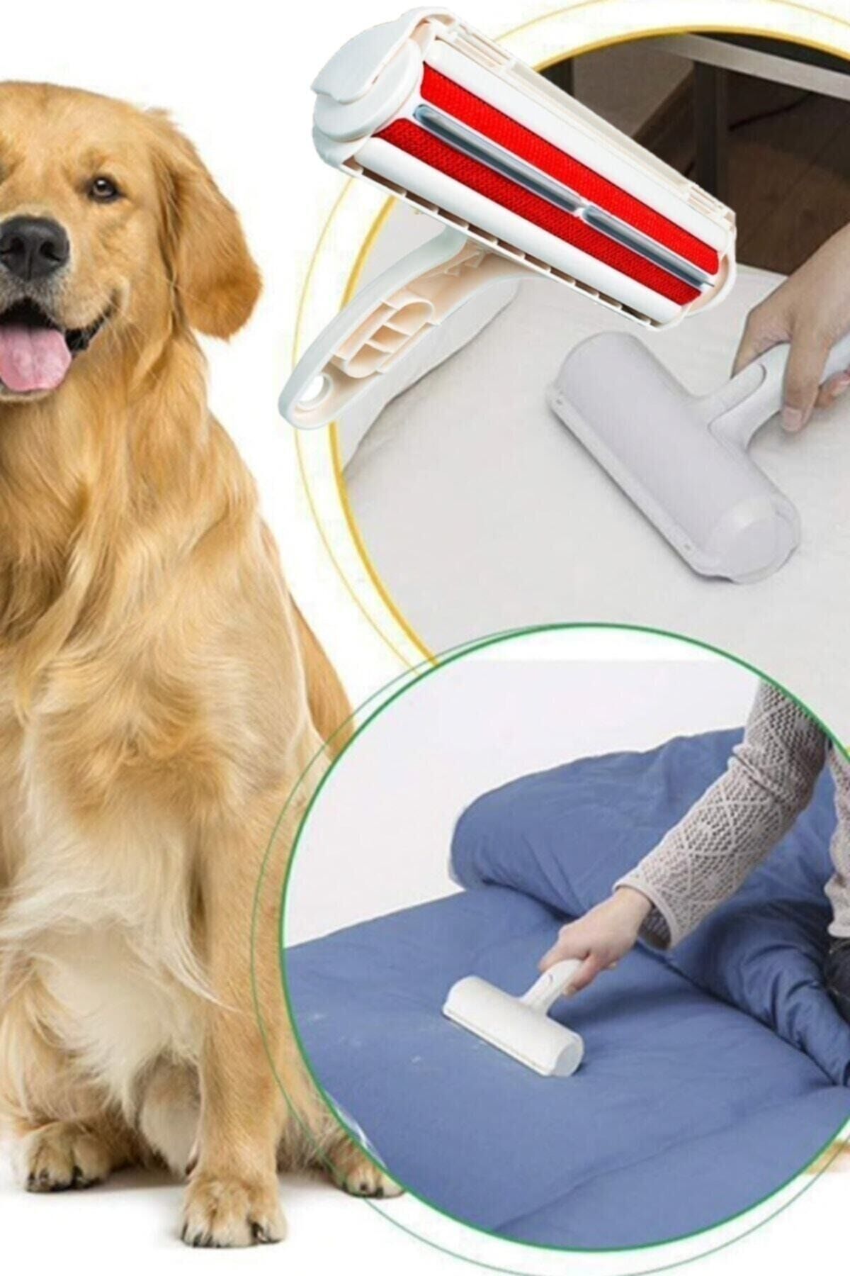 Kedi Köpek Hazneli Tüy Toplayıcı, Kıl Ve Toz Temizleyici Hazneli Gırgır