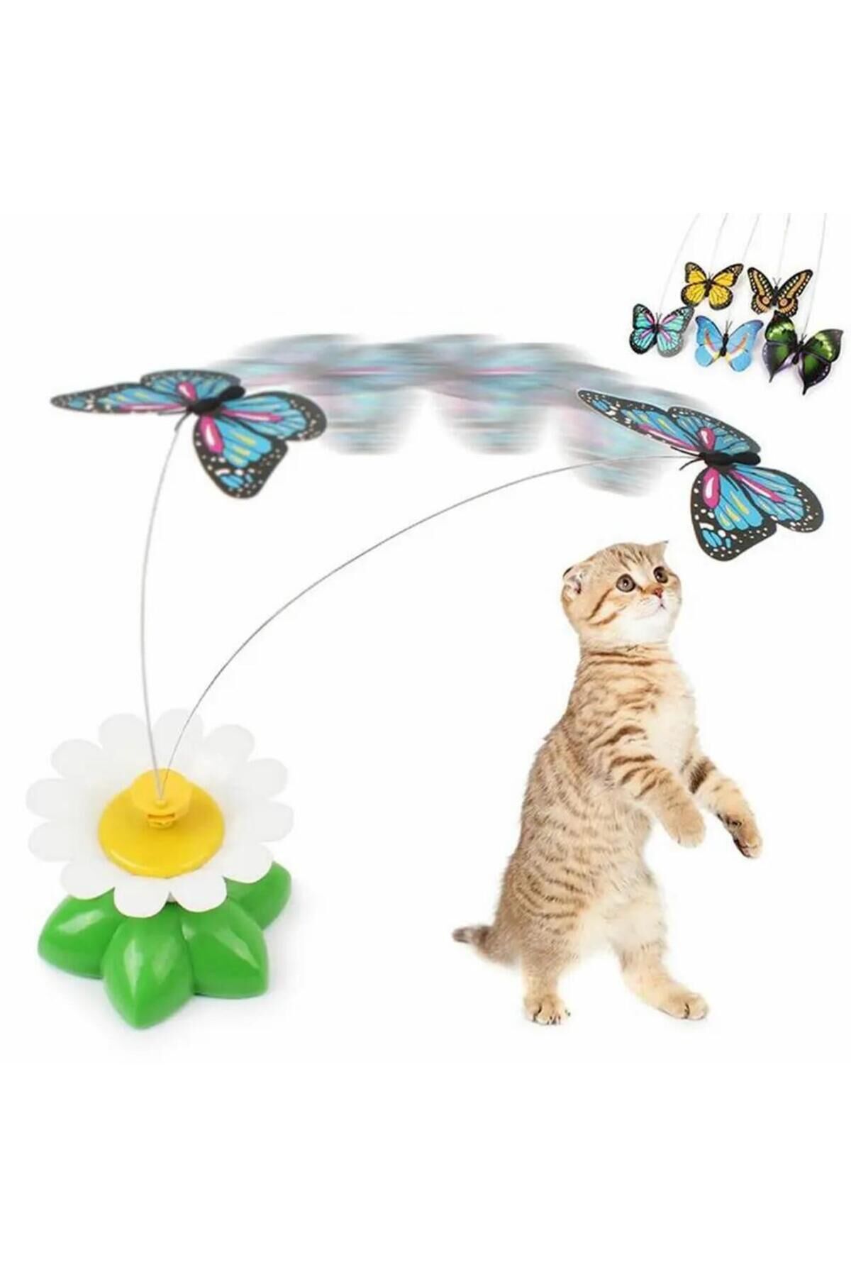 Kelebek Şeklinde Hareketli Dönen Pilli Kedi Oyuncağı Glrshop