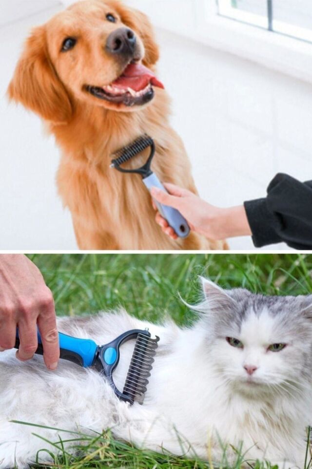 Plastik Saplı Metal Kedi Köpek Bakım Kıtık Tüy Topak Açıcı Tarak { 1 Adet } Tek Ebat