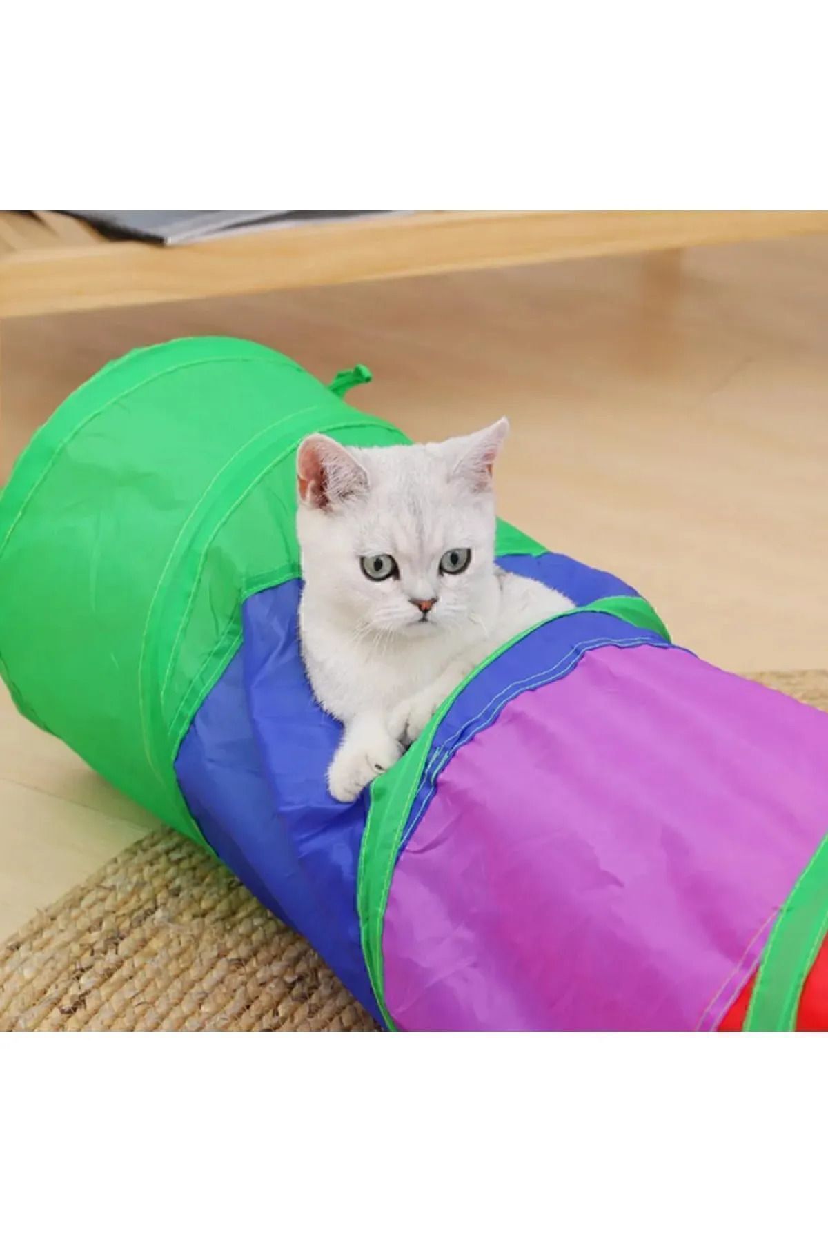 Düz Kedi Tüneli Katlanır Gökkuşağı Uzun Düz Kedi Köpek Oyun Tüneli Evcil Hayvan Oyun Tüneli Gökkuşağı - Tek Ebat